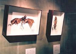 幻の獣たち〜私的博物標本の展示