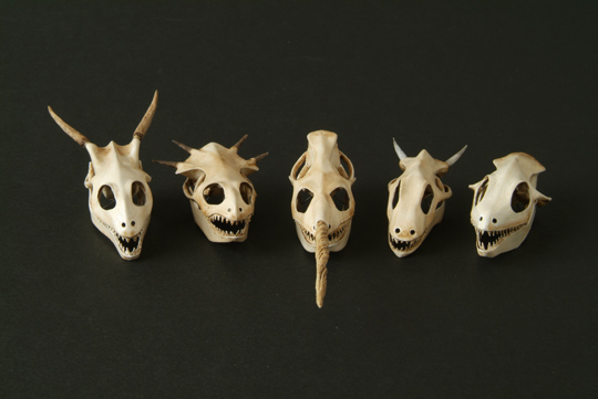 「The Skulls Collection」