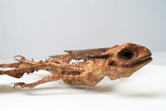 Dracorex capracornus