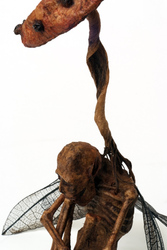 Cordyceps matango & Homo pumilus gidoronia