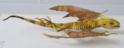 Draconis vridiscelto