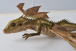 Dracodinos decimuscorneus