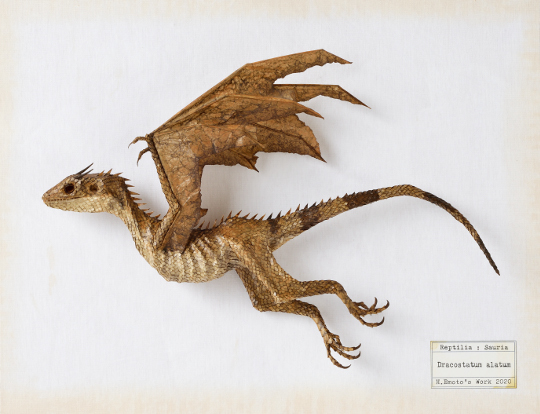 Dracostatum alarm