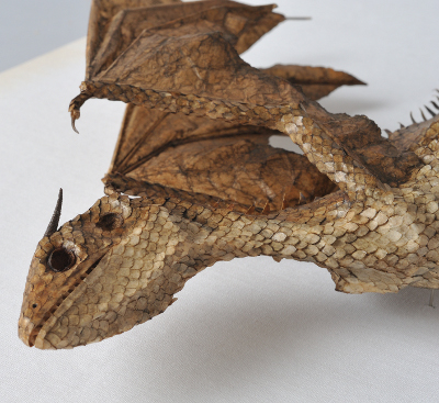 Dracostatum alarm