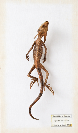Agama kakatal