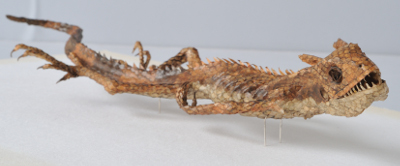 Agama kakatal