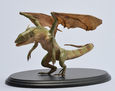 Dracodinos decimuscorneus