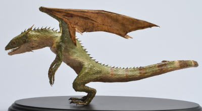 Dracodinos decimuscorneus