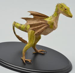 Dracostatum iuwenesfolium