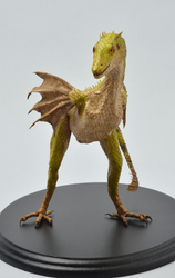 Dracostatum iuwenesfolium