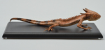 Agama kakatal