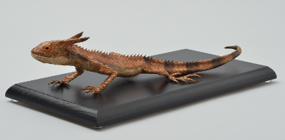 Agama kakatal