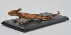 Agama kakatal